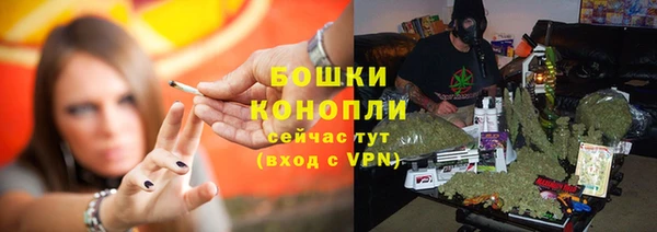 шишки Алексеевка