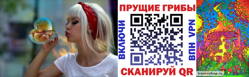 Псилоцибиновые грибы мицелий  закладки  Игра 